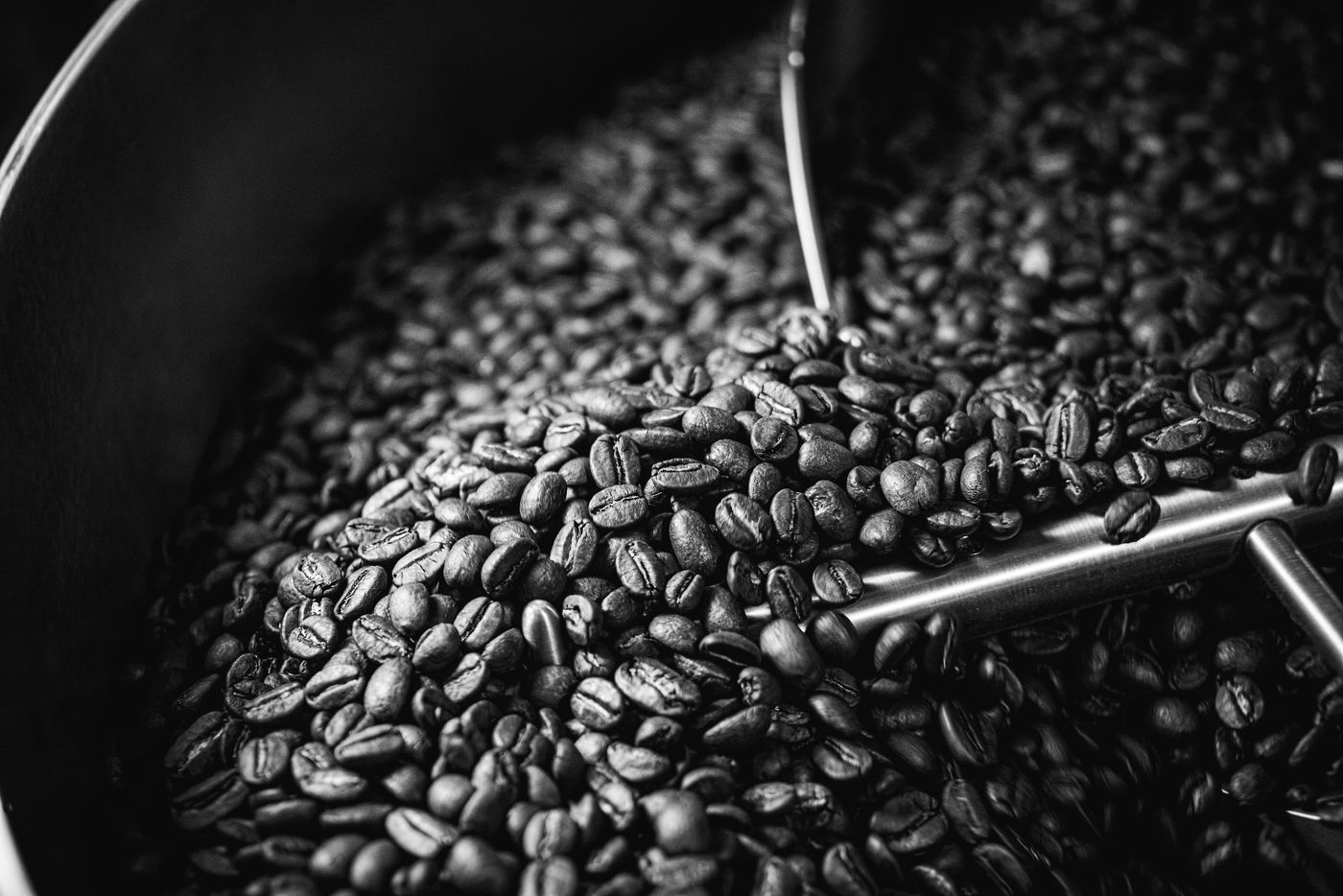 Stavy Coffee kavurma makinesi